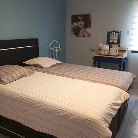 Bed & Breakfast D'hotes Les Orchidees Vorey